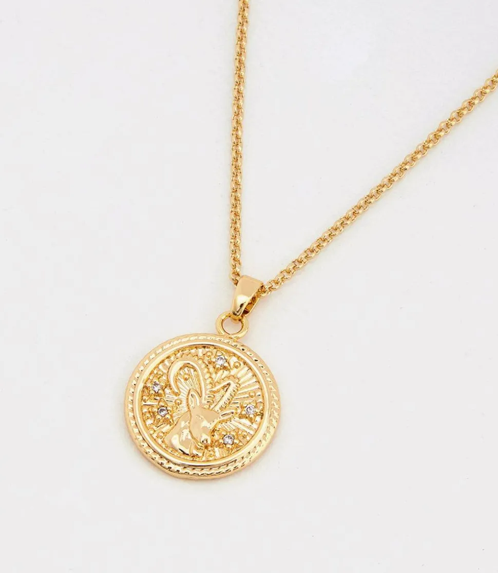 Capricorn Coin Necklace
