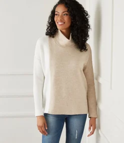 Colorblock Turtleneck