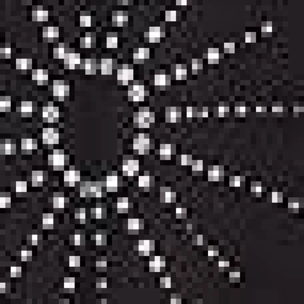 Embellished Asymmetric Top