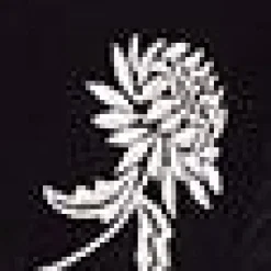 Embroidered Blouson Sleeve Top