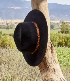 Feather Band Velour Hat