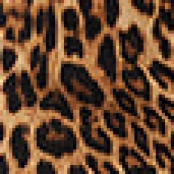 Leopard Corduroy Jacket