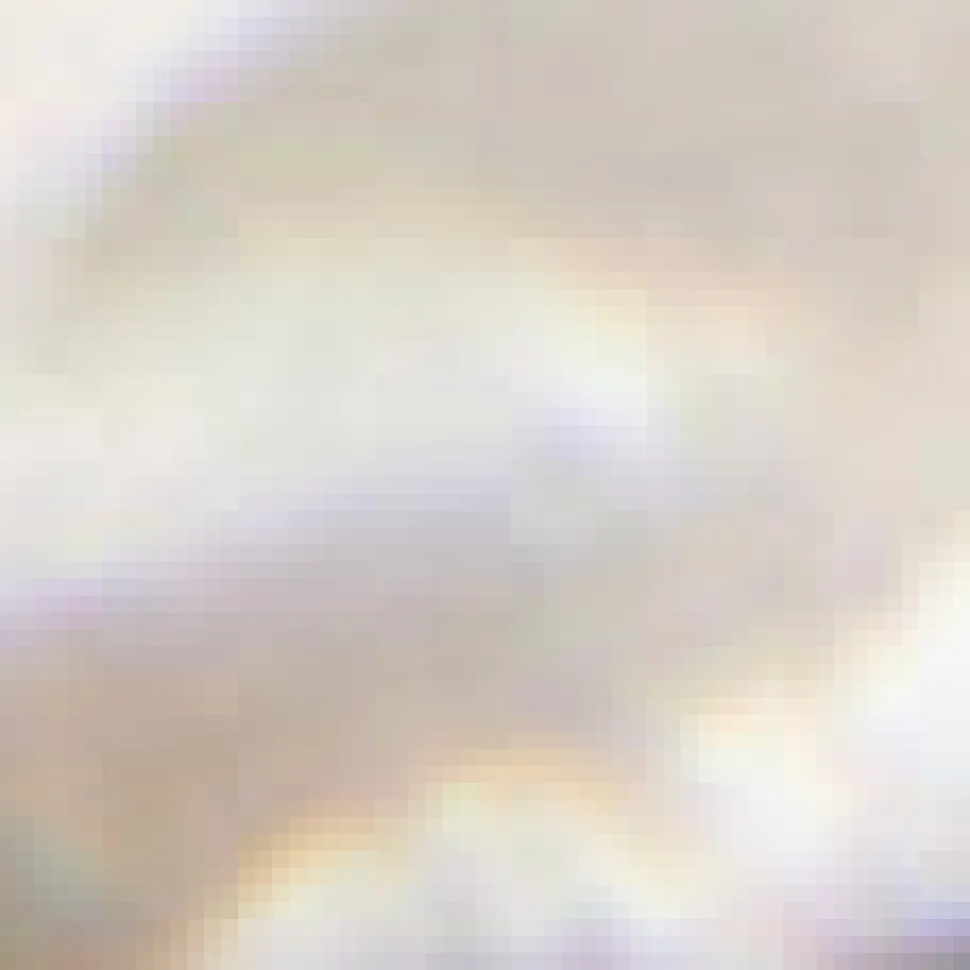 Natural Mother of Pearl Necklace