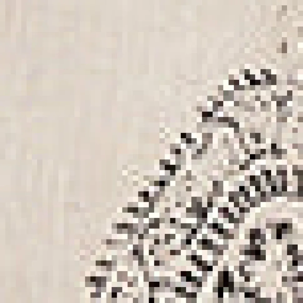 Paisley Print Shirt