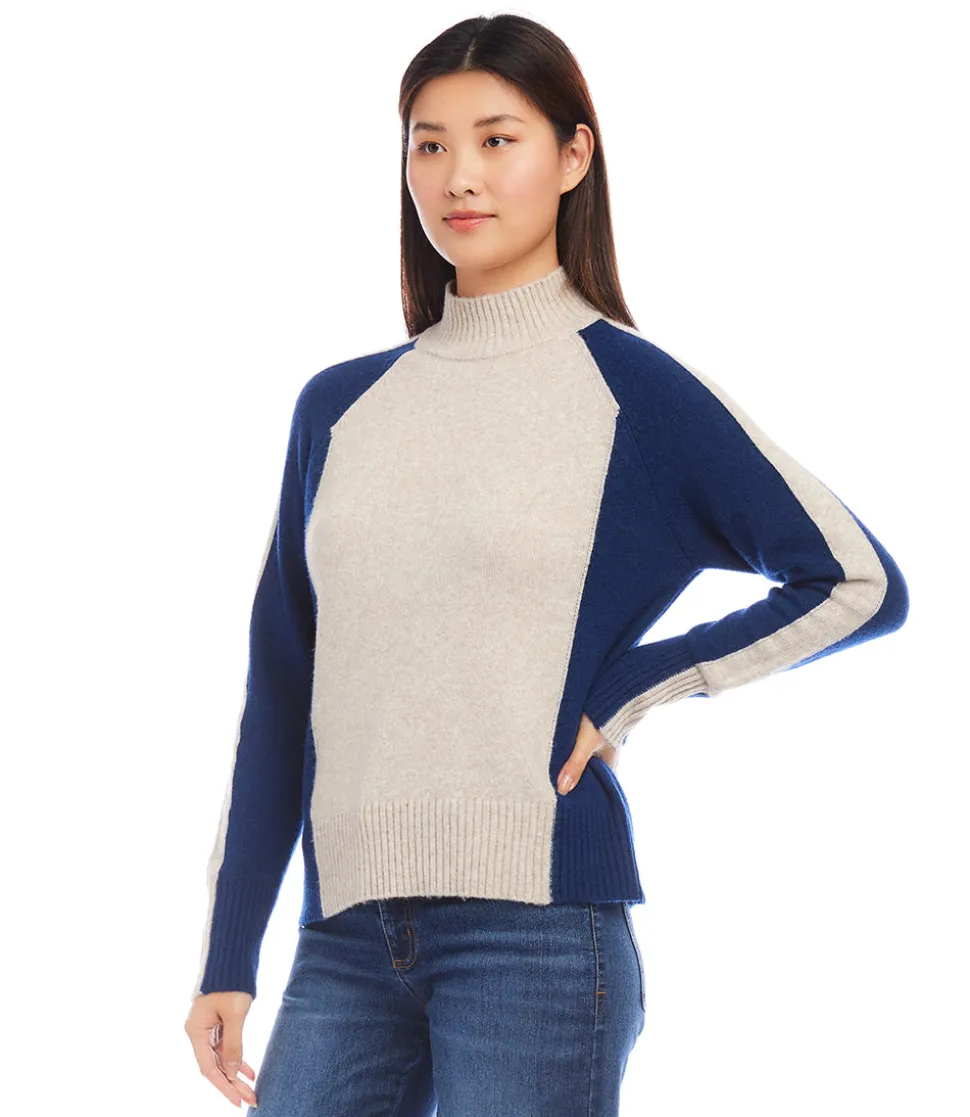 Petite Size Colorblock Sweater