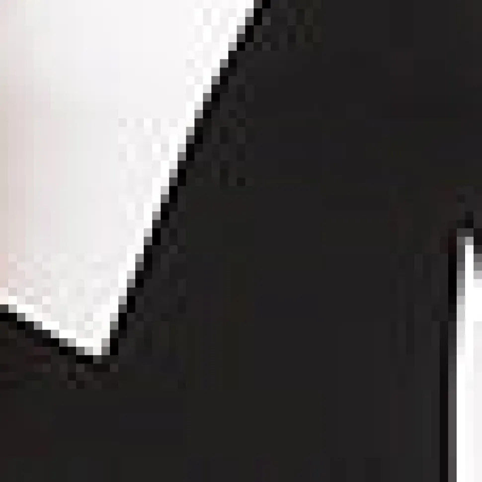 Petite Size Sleeveless Colorblock Dress