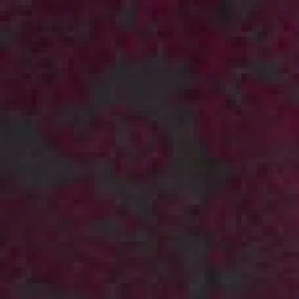 Petite Size Velvet Burnout Shirttail Top