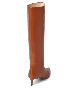 Tall Pointed Toe Boots