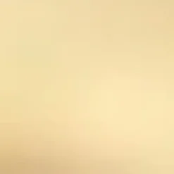 Thin Gold Chain Bracelet